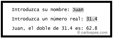 Ejemplo entrada y salida por pantalla